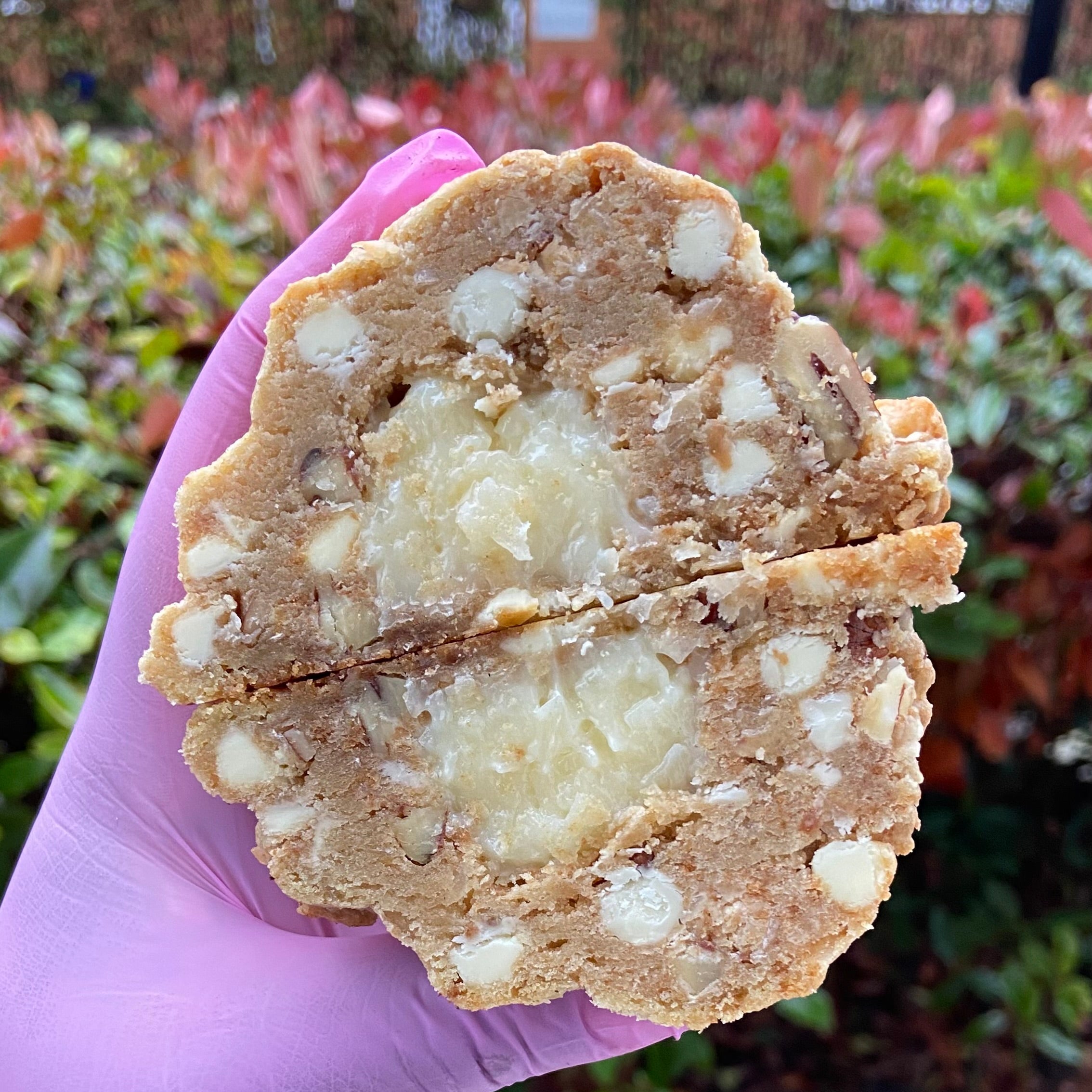 Toasted Coconut Pecan Biscoff Fudge Cookie