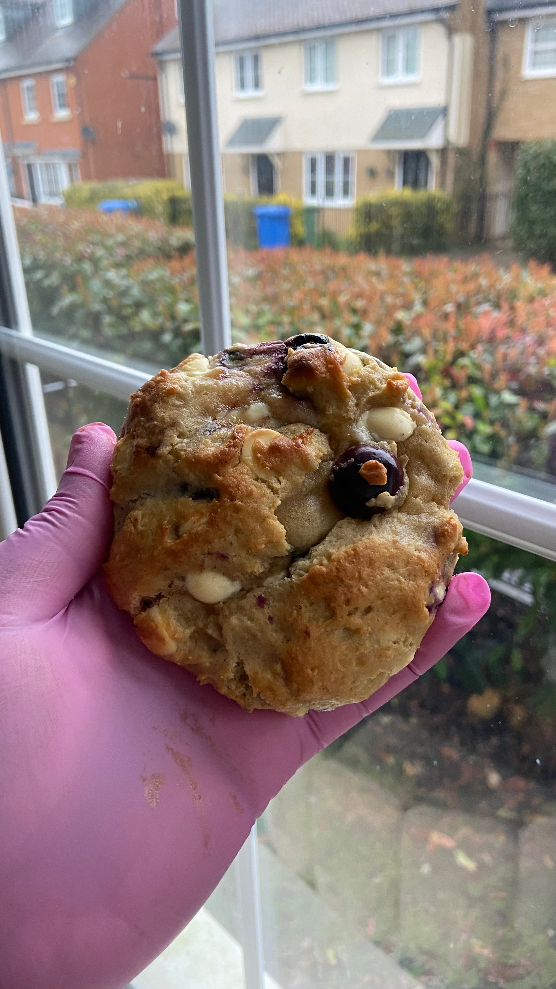 Gourmet Lemon and Blueberry Pie Cookies