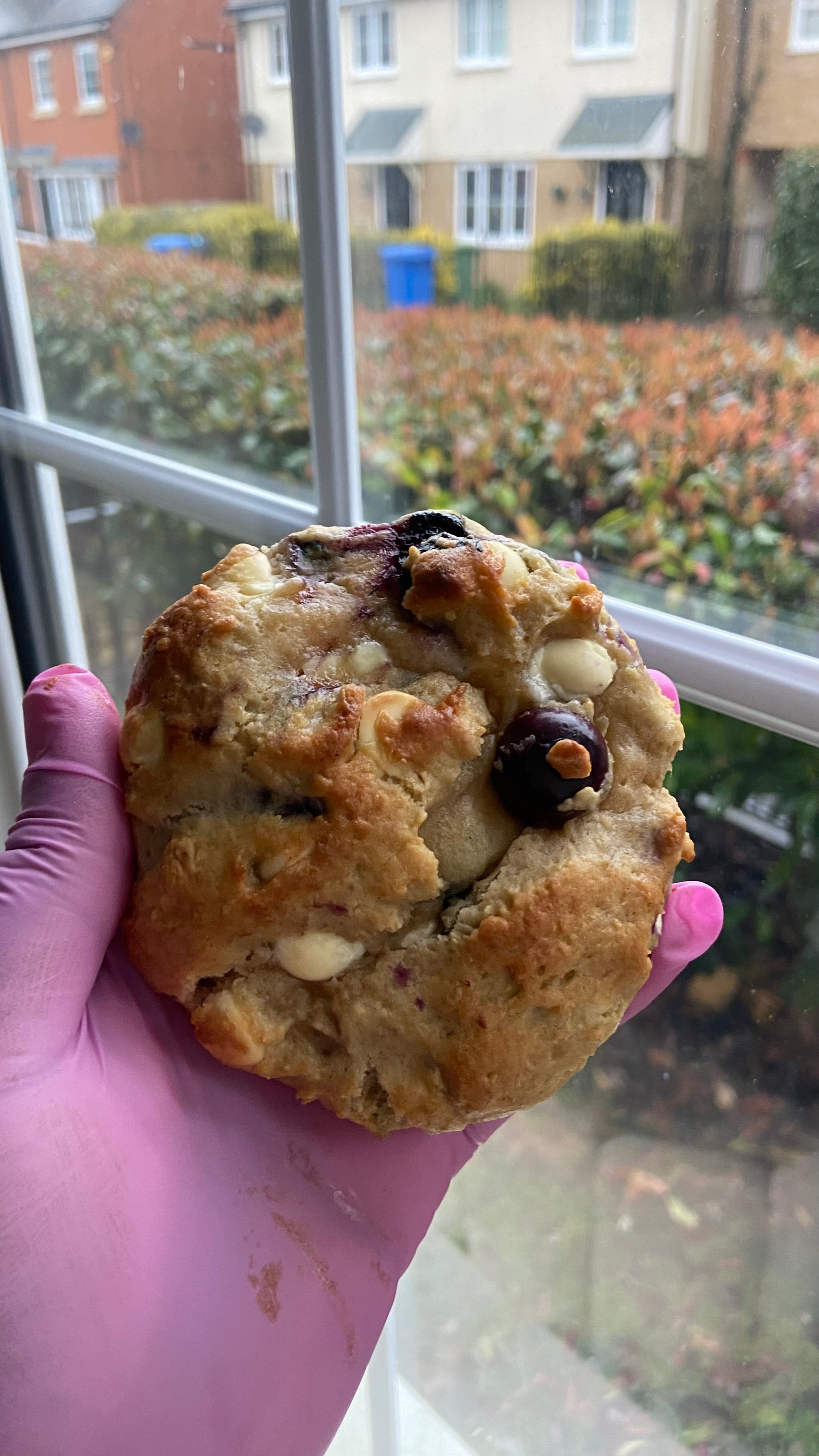 Gourmet Lemon and Blueberry Pie Cookies