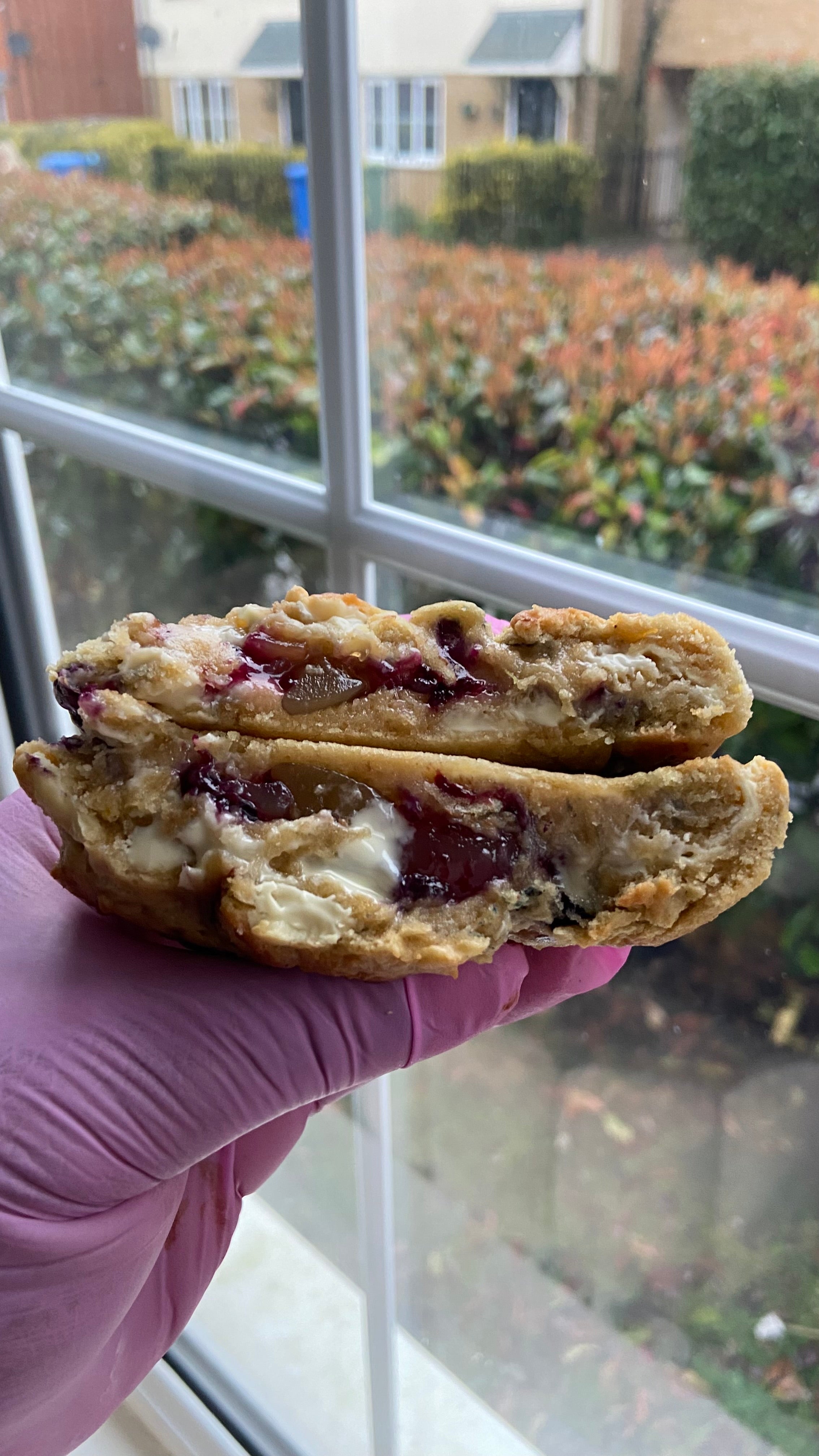 Gourmet Lemon and Blueberry Pie Cookies